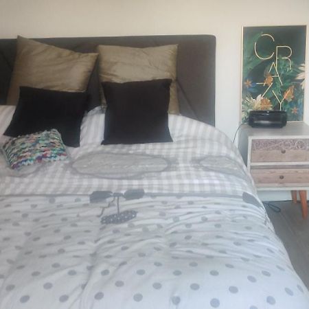 Logement Cosy Neuf Avec Jardin Mions 외부 사진